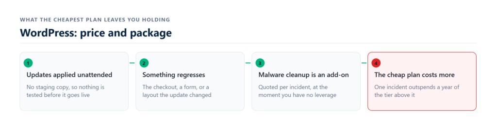 monthly care tiers and included tasks compared
