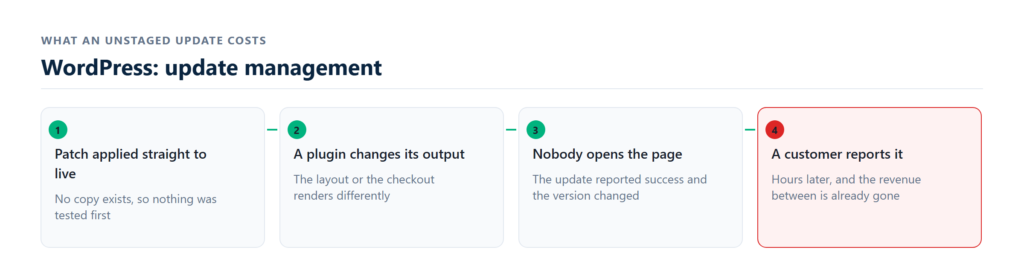 staged patch queue and rollback point history